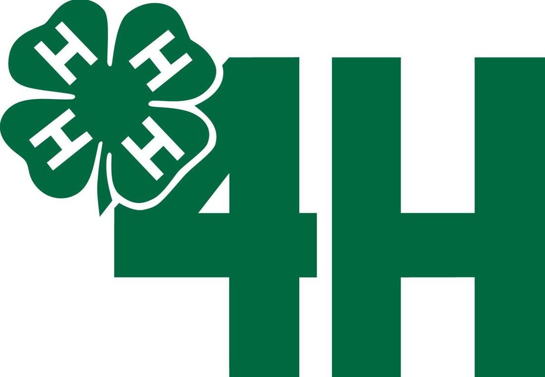 4-h-club-5th-grade-at-abney-elementary